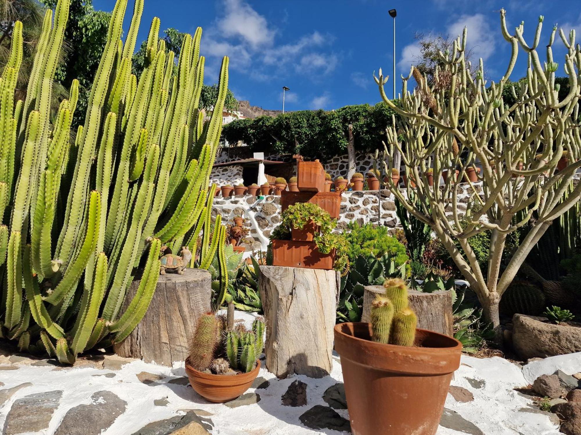 Historica Casa Con Vistas Al Jardin De Cactus Y Montanas Vila Mogán Exterior foto
