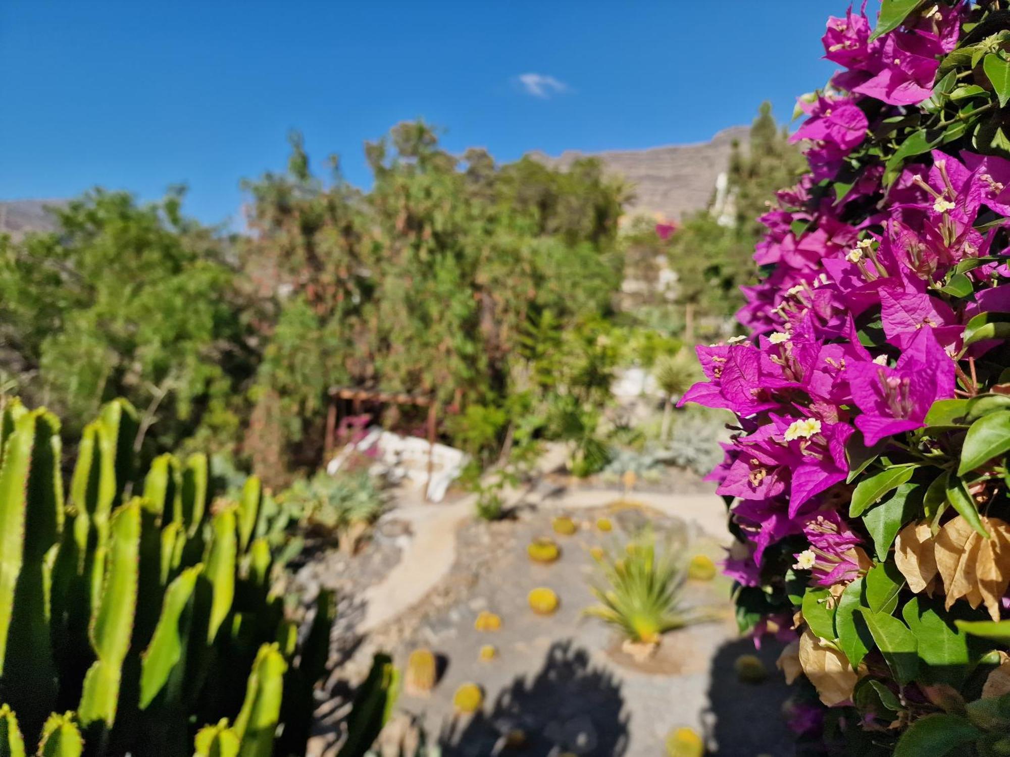 Historica Casa Con Vistas Al Jardin De Cactus Y Montanas Vila Mogán Exterior foto