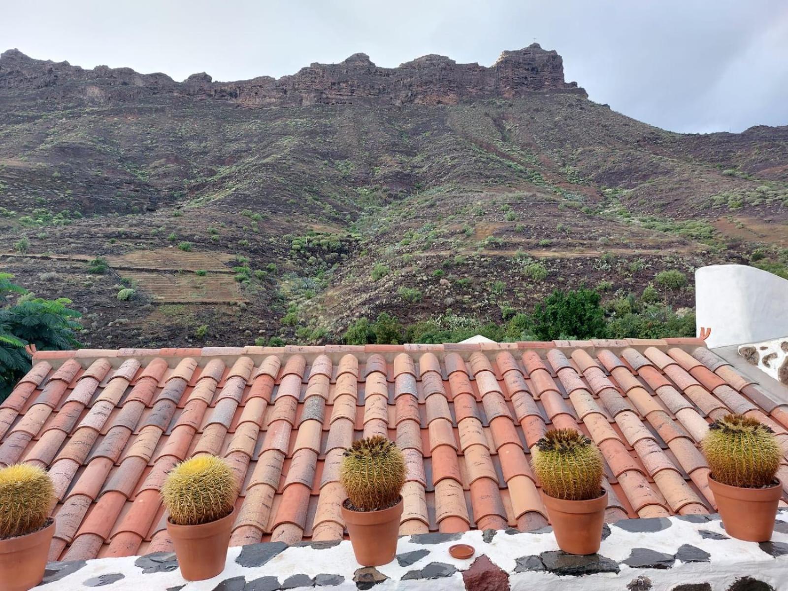 Historica Casa Con Vistas Al Jardin De Cactus Y Montanas Vila Mogán Exterior foto